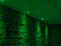 Green LED downlights