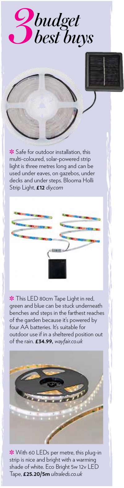 Budget best buys - Modern Gardens magazine